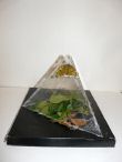 Pyramide 10.JPG